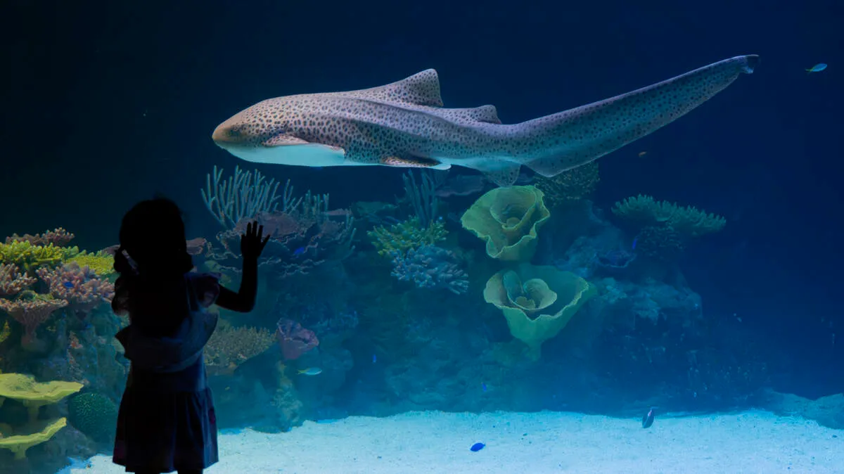 Tropical Reef Habitat — Long Beach, California