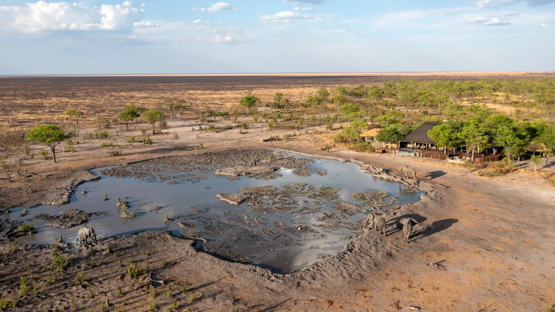 Camp Kuzuma Waterhole — live webcam view over Kazuma Forest Reserve, Chobe, Botswana
