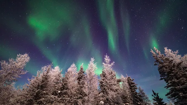 Churchill Northern Lights — Churchill, Manitoba