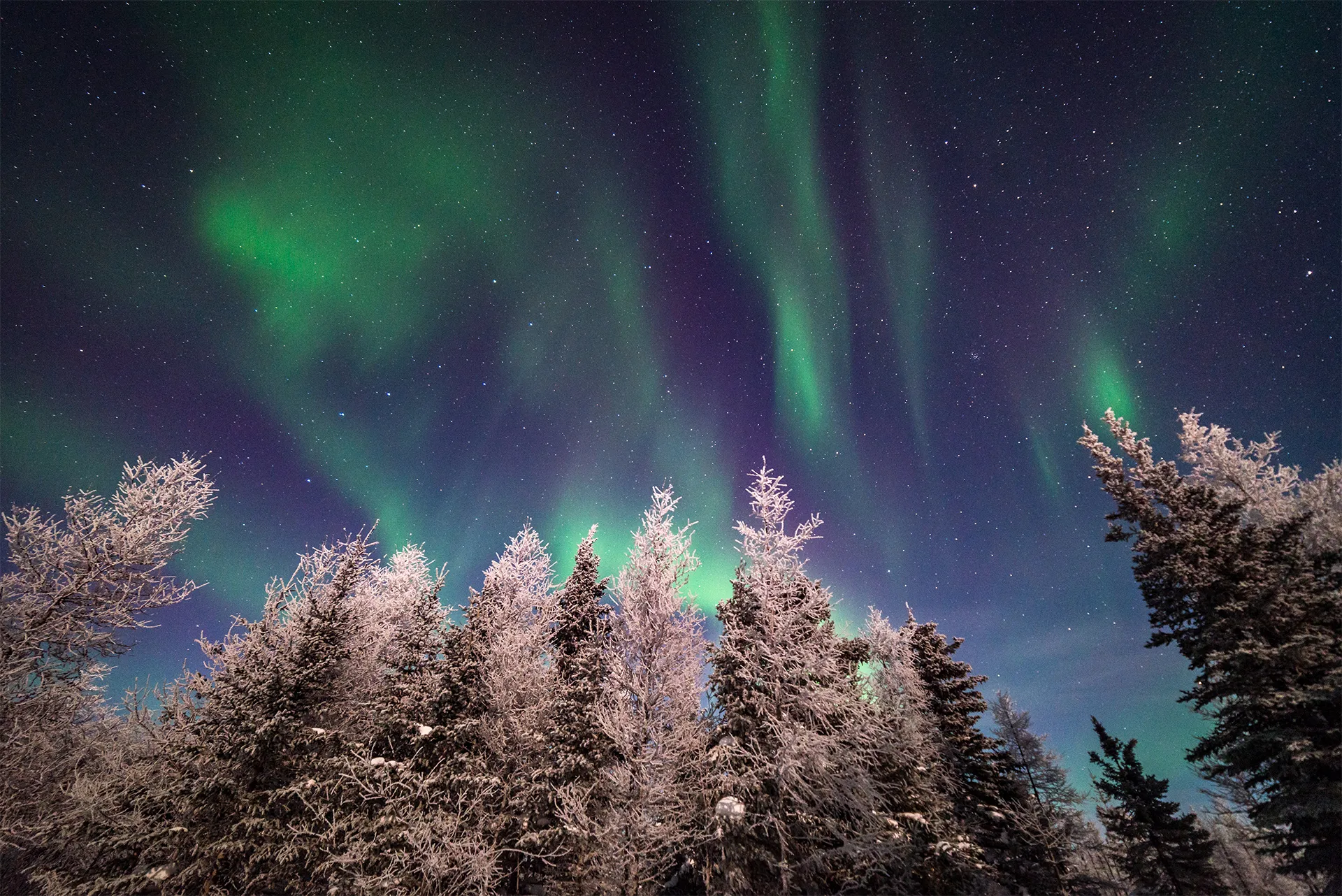 Churchill Northern Lights — live webcam view over Churchill, Manitoba, Canada