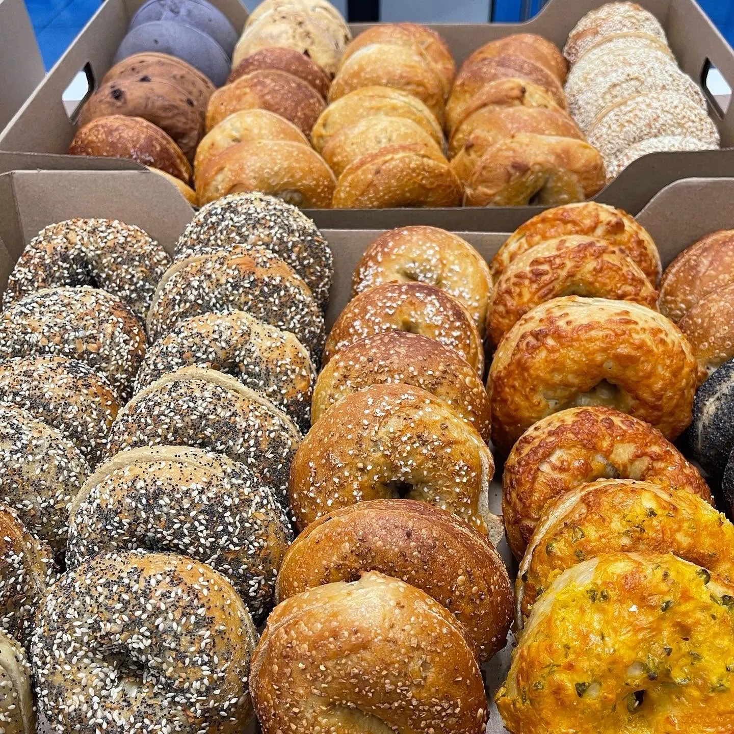 Dan's BagelCam, Fort Worth — live webcam view over Forest Park, Fort Worth, United States