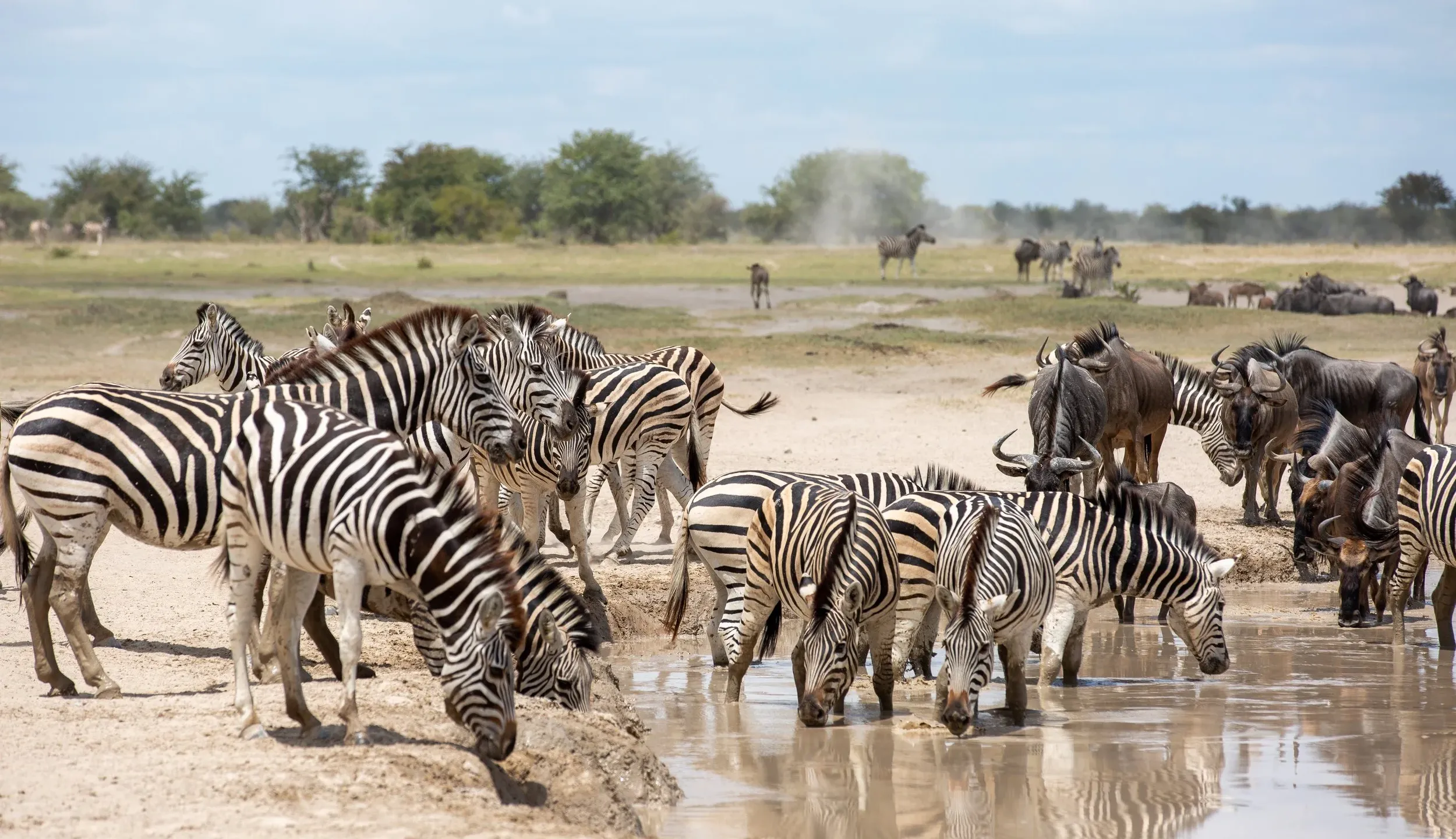 Jack's Camp Waterhole — Makgadikgadi, Kalahari