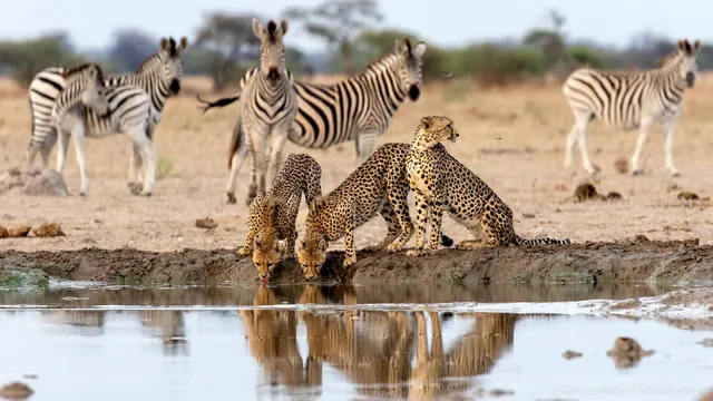 Kalahari Salt Pan — Makgadikgadi Pans