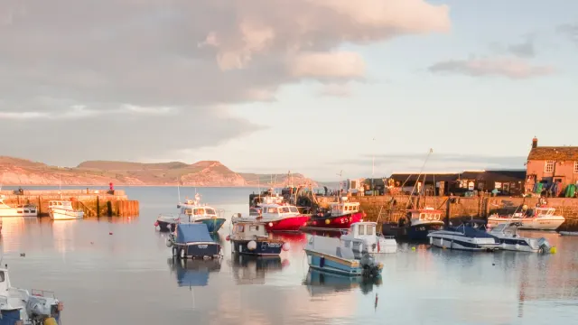 Lyme Regis Harbour and the Cobb, The Cobb, Lyme Regis