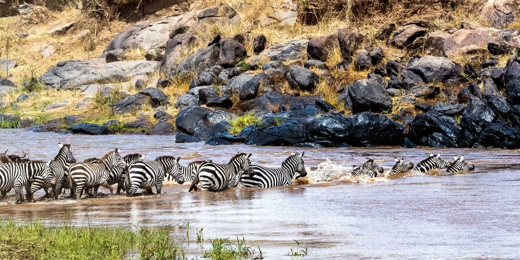 Fig Tree Crossing, Mara River — live webcam view over Maasai Mara, Narok, Kenya