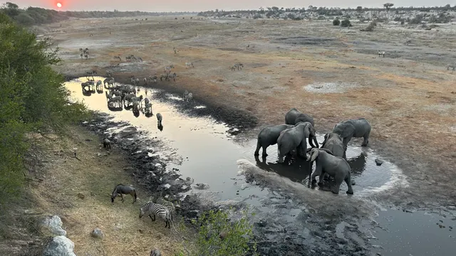 Boteti River at Moela — Boteti River, Makgadikgadi