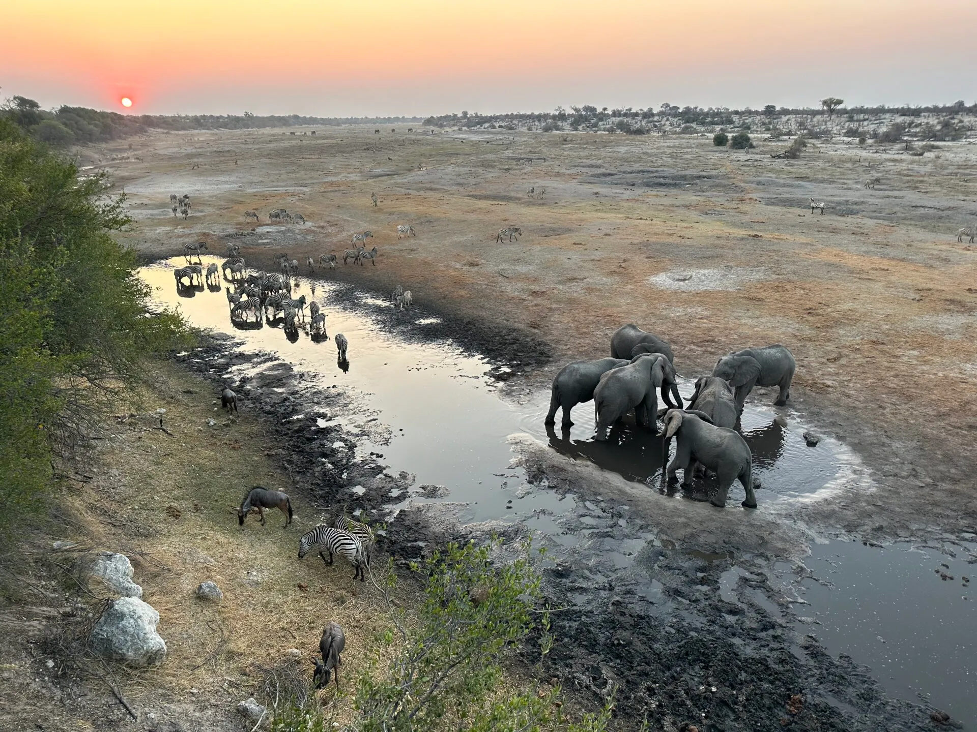 Boteti River at Moela — live webcam view over Boteti River, Makgadikgadi, Botswana