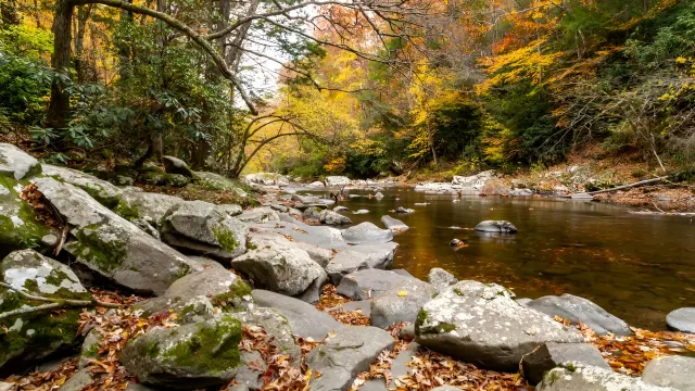 Pigeon River — Hartford, Tennessee