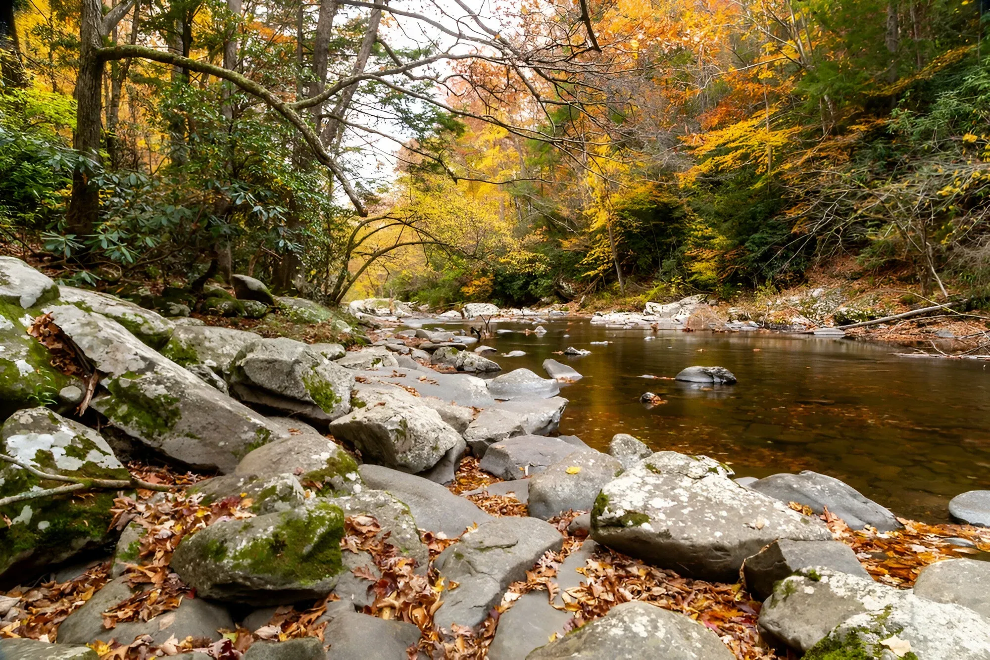 Pigeon River — live webcam view over Hartford, Tennessee, United States