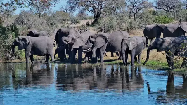 Roy's Dam, Silvan Safari Lodge, Sabi Sand Game Reserve