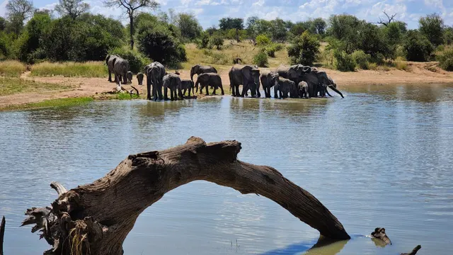 Simbavati Waterside — Klaserie Reserve, Limpopo