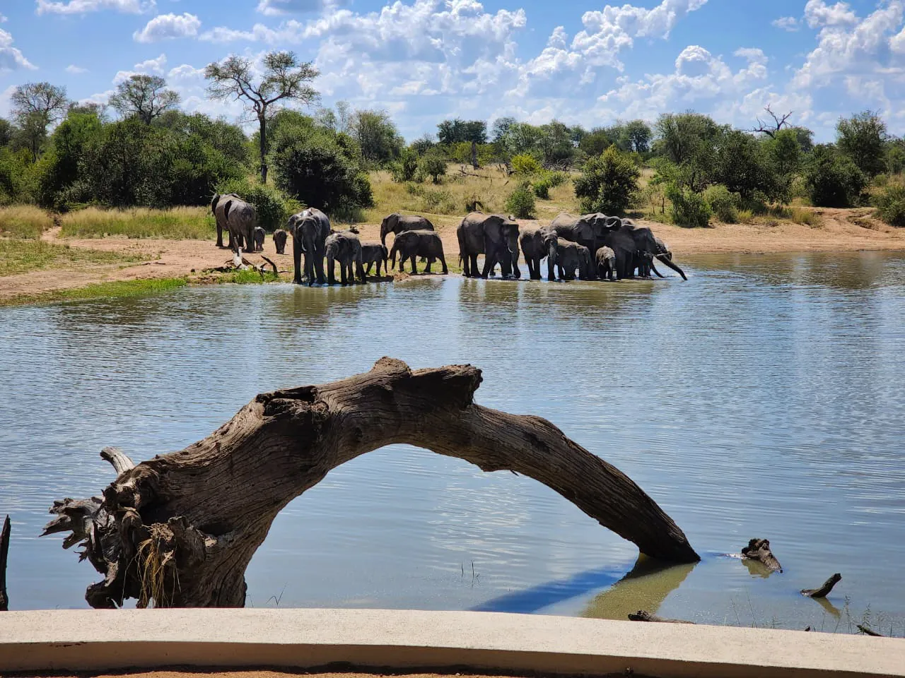 Simbavati Waterside — live webcam view over Klaserie Reserve, Limpopo, South Africa