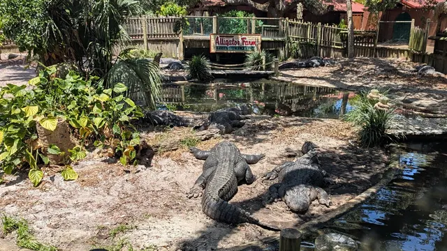 St. Augustine Alligator Farm — St. Augustine, Florida