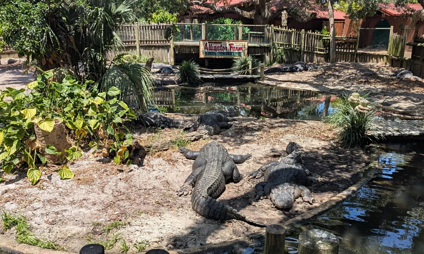 St. Augustine Alligator Farm — live webcam view over St. Augustine, Florida, United States