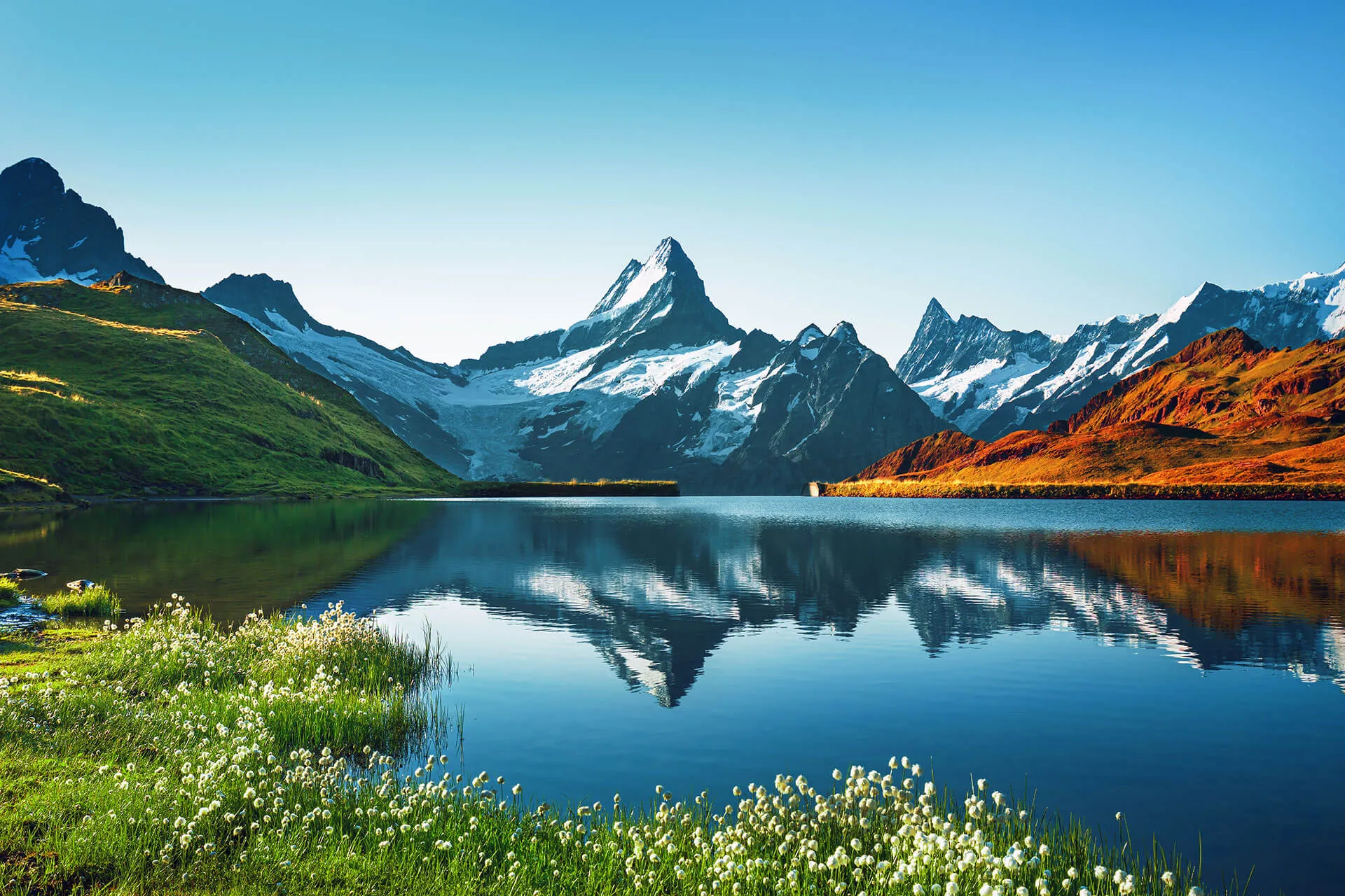 Swiss Alps Panorama: live webcam view over Swiss Alps, Switzerland